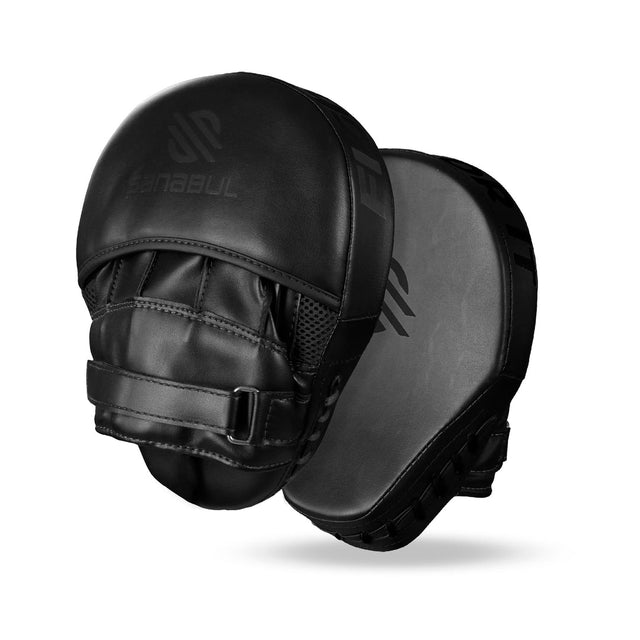 Essential Curved Punch Mitts