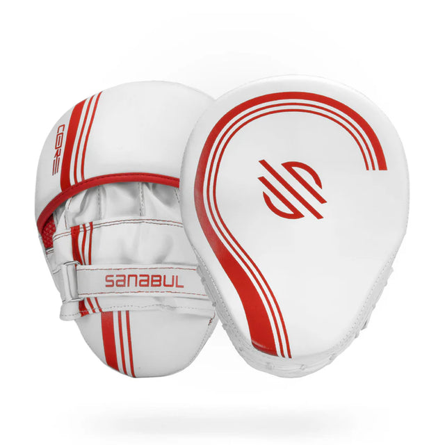 CORE Series Boxing Mitts