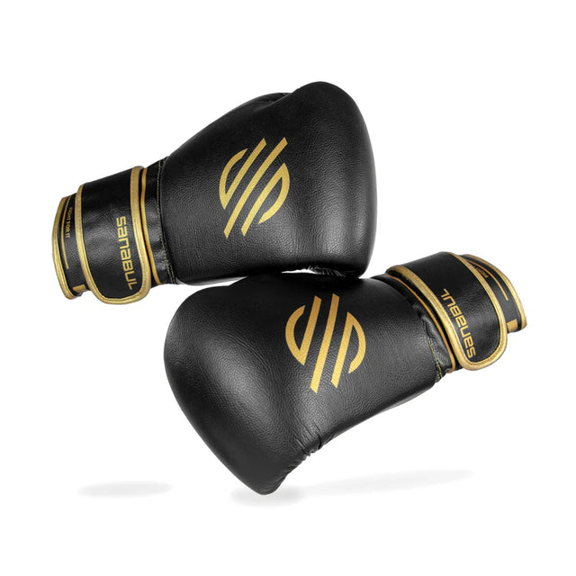 Gold Strike Hook & Loop Professional Boxing Gloves